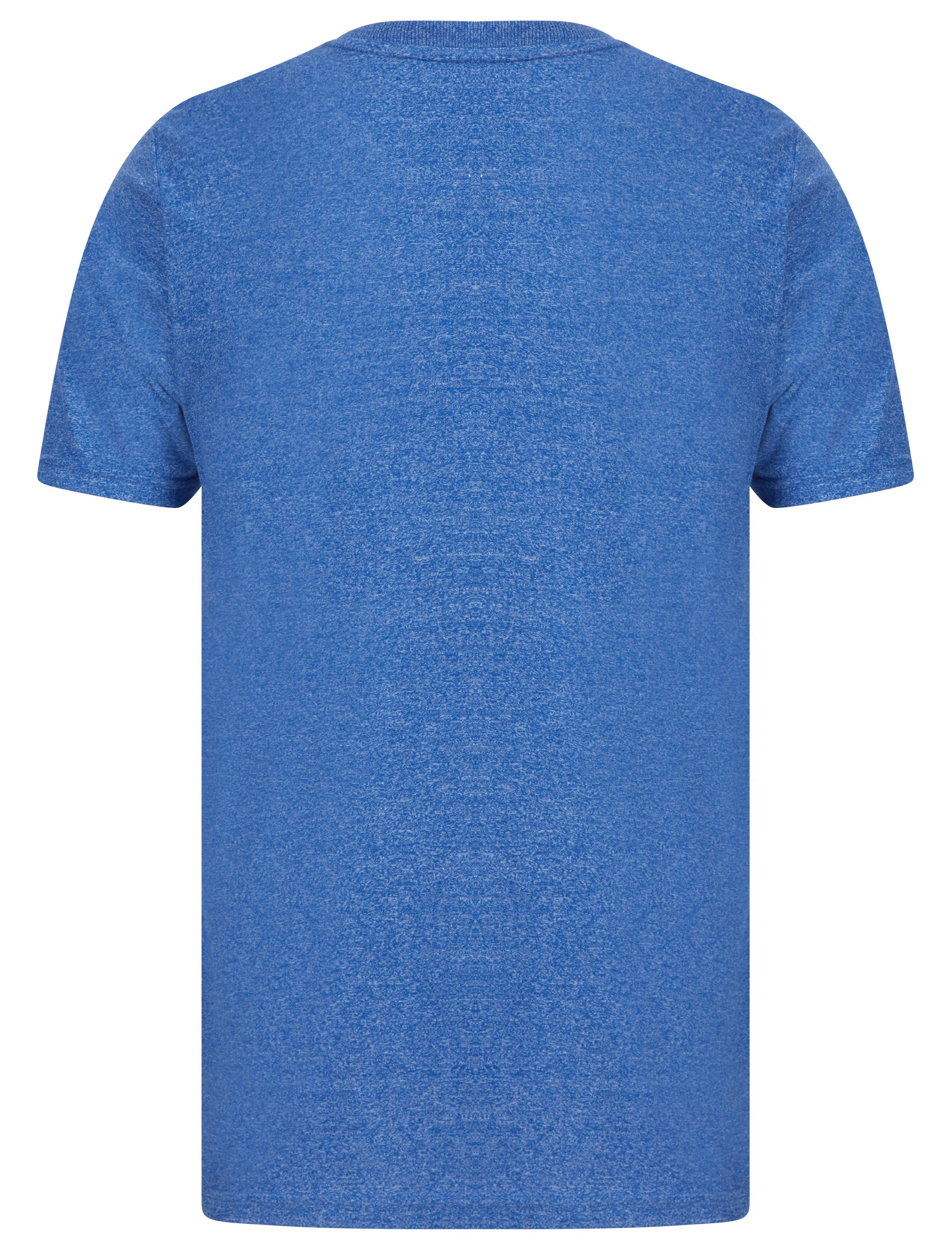 Heavy Duty Puffy Motif Cotton Jersey T-Shirt in Light Blue Grindle - Tokyo Laundry