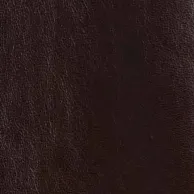 Shelman Jacket in Dark Brown Leather